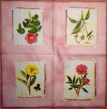 143 Rosen - 3-lagig